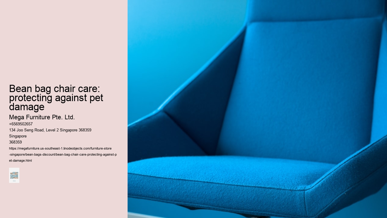 Bean bag chair care: protecting against pet damage