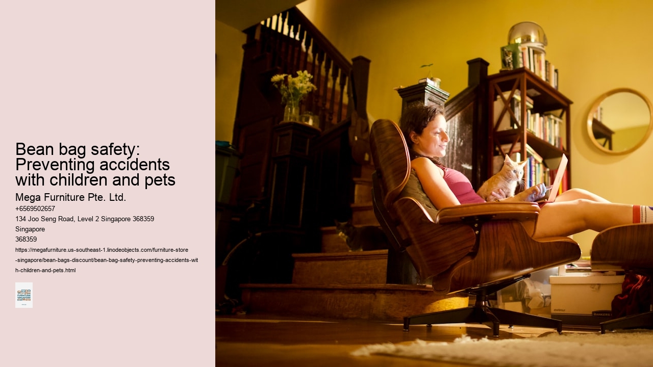 Bean bag safety: Preventing accidents with children and pets