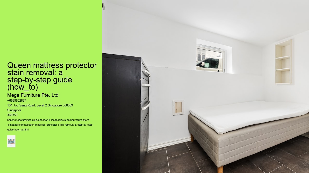 Queen mattress protector stain removal: a step-by-step guide (how_to)